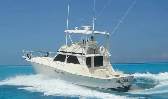 Cancun Deep Sea Fishing Calendar and Seasons